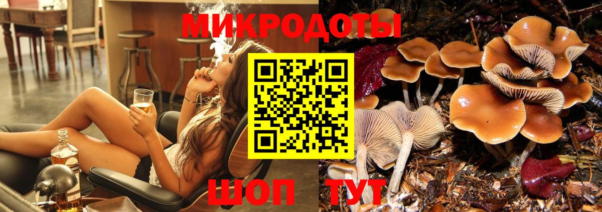 Псилоцибиновые грибы Cubensis Губкинский
