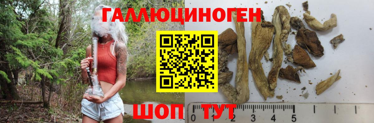 закладки  Псилоцибиновые грибы Cubensis  Галлюциногенные грибы Psilocybe  Вход с VPN  Губкинский 
