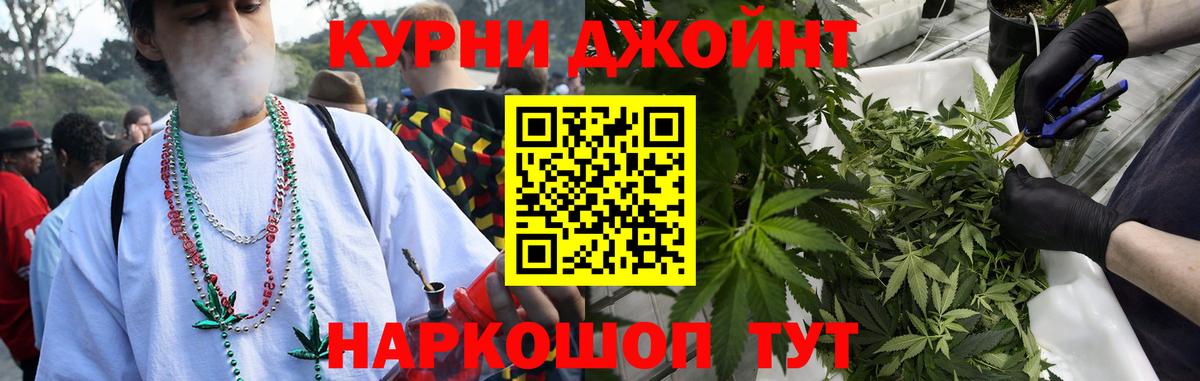 Каннабис MAZAR Губкинский